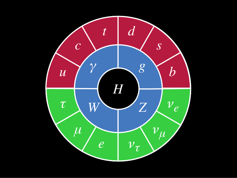 The Standard Model as depicted in the documentary "Particle Fever"